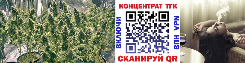 купить наркотик  Тимашёвск  OMG вход  ТГК Wax 