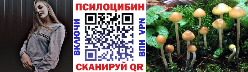 где продают наркотики  Тимашёвск  Галлюциногенные грибы ЛСД 